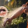 La paradoja de soltar mosquitos para acabar con los mosquitos: China lo hace con depredadores y Elche con 2,4 millones de machos estériles