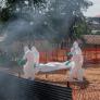 Francia detecta el primer caso de ébola en el país