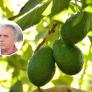Iñaki Hormaza, líder investigador del CSIC que ha enseñado una lección a agricultores de California : "Somos posiblemente el grupo de referencia mundial en aguacate"