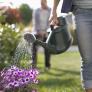 Adiós a la regadera de toda la vida: un método de 4.000 años de antigüedad ahorra un 70% de agua