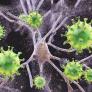 La epidemia olvidada que sumía a la gente en un sueño profundo y mató a medio millón de personas en Europa: un siglo después, su origen sigue siendo un misterio