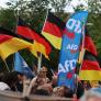 Presión legal contra los ultras de AfD en Alemania: violan las leyes y son una amenaza que debe vigilarse