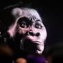 Lee Berger, el paleoantropólogo de la misteriosa cueva de Sudáfrica con esqueletos solo de hembras: "Es nuestro primer contacto con una especie no humana; sus cerebros no son cerebros humanos"