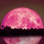 Se acerca la luna llena de junio; sin embargo, quienes esperen una verdadera "luna de Fresa" se llevarán una sorpresa