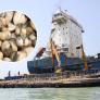 El estrecho de Ormuz se ha reabierto, pero ha aparecido un nuevo enemigo para los barcos: las conchas marinas