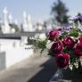 La carta al director de 'El País' para despedir a una joven que emociona con solo leerla: "Nadie debería morirse con 29 años"