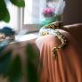 6 señales inesperadas de que una serpiente se esconde en tu casa