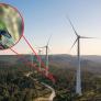 Construyeron 100 aerogeneradores en Tasmania antes de darse cuenta de que se encontraban en el camino de un loro en peligro crítico de extinción
