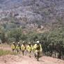 La Junta de Moreno redujo en un 14% los agentes de extinción de incendios para la campaña de prevención