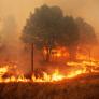 Víctor Resco, catedrático de Ingeniería Forestal: "Si un incendio quema 2.700 hectáreas, la energía que libera es equivalente a la bomba atómica de Hiroshima"