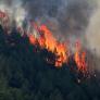 Marc Castellnou, bombero forestal: "No es un tema de recursos, sino de bosques estresados. La capacidad de incendios supera la capacidad de extinción"