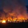 El incendio de Aiguamúrcia (Tarragona) obliga a desalojar cuatro urbanizaciones y al envío del ES-Alert