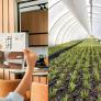 Un arquitecto de interiores de lujo lo dejó todo para cultivar en un invernadero: "Un cliente me pidió que le diseñara un jardín con manzanos… pero sin manzanas"
