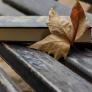 El bibliotecario invisible de Buenos Aires: un taxista lleva 40 años dejando libros de Borges o Neruda en los bancos de la ciudad con una nota sin firmar