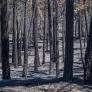 Los evacuados por el incendio de Guadalajara esperan con incertidumbre en Humanes: "Hay mucho humo, miedo y estrés"