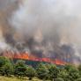 El incendio de Guadalajara se acerca a las 32.000 hectáreas afectadas y ya es el segundo por superficie quemada de la serie histórica