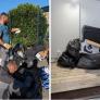 Tira sus bolsas de basura junto a un contenedor, el alcalde rebusca en ellas, encuentra su dirección y se las devuelve a la puerta de casa: ahora se enfrenta a una multa de hasta 15.000 euros