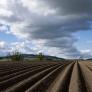 Un agricultor entierra dos calzoncillos idénticos de algodón en su granja y demuestra que el suelo sano no es el que los conserva, sino el que se los come, lo que es más positivo para los ecosistemas