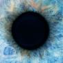 El verdadero cíclope: hace 600 millones de años vivió un antepasado tuerto; los investigadores lo consideran el origen de nuestros ojos