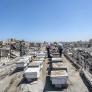 Ibrahim, apicultor en Gaza, perdió 400 colmenas y empezó de nuevo con 3 en una azotea: "Las abejas son como la gente de aquí: siempre encuentran el camino de vuelta"