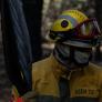 Un ingeniero de montes desmonta en dos minutos el mayor bulo sobre los incendios forestales y va camino de verlo media España