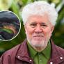 Pedro Almodóvar, 76 años: "La negrura de Lanzarote es muy dramática y espiritual, es un paisaje perfecto para desaparecer, esconderse o llorar"