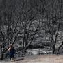 Los incendios dan un respiro en España, pero el riesgo sigue muy alto: mejoran Zamora, Madrid y Castellón mientras surgen nuevos focos