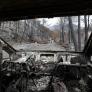 Los incendios dan un respiro parcial en España, pero el riesgo sigue siendo extremo: Zamora, Ávila y Cáceres mantienen la máxima vigilancia