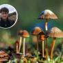 Un joven llena su habitación de excrementos para grabar los hongos que crecen en ellos: "Tengo un compañero de piso muy comprensivo"