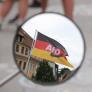 Más de mil juristas alemanes piden al Gobierno que solicite la ilegalización de Alternativa por Alemania (AfD): "La democracia está en peligro"