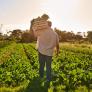 Cristian, agricultor a 1.300 metros en la sierra de Madrid, rechazó 700.000 euros por su hectárea: "El verdadero valor de la finca no está solo en el dinero"