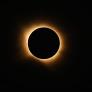 Colocaron acelerómetros a 33 animales durante el eclipse del 12 de agosto y ninguna especie reaccionó igual: las gallinas adelantaron 18 minutos su hora de recogerse