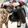 Anastasia, diseñadora de bozales caninos: "Se usan para mucho más que con perros agresivos, algunos los llevan para no comer basura o cosas tóxicas del suelo"