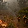 Niebla: los bomberos logran acorralar el peor fuego en la historia de Andalucía tras arrasar cerca de 40.000 hectáreas