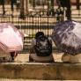 ¿Has agradecido el fresquito? Prepárate, que vuelve el calor