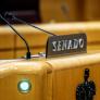 La lucha por el relato en mitad de la crisis de Ceuta: Congreso, Senado y el duelo por las comparecencias de los ministros