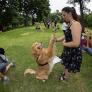¿Por qué los perros inclinan la cabeza cuando les hablas?