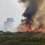 La investigación del incendio forestal de El Saler apunta a que ha sido intencionado