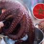 El pulpo á feira que te comes es probablemente marroquí: Galicia importó 32 veces más pulpo del que pescó en el primer semestre de 2026