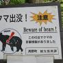 Japón mató más de 14.000 osos en diez meses y sigue sin saber cuántos le quedan: "Conservaron muy bien la especie, pero no planificaron el éxito"