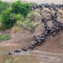 Un jeep con cuatro turistas cae a un río lleno de cocodrilos en plena migración de ñus: el conductor corría para llegar el primero al mirador del Serengueti y ganar más propina