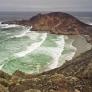 En 1850, un ganadero llevó 45 ovejas a la isla de San Miguel; para 1862 había 6.000, y después de que el pastoreo acabara con la vegetación, las últimas 148 fueron eliminadas en 1966