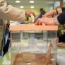 Así justifica el Supremo la suspensión del derecho al voto a los nacionalizados por la 'ley de nietos'