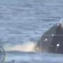 Ucrania afirma haber ganado la primera batalla naval de la historia entre drones