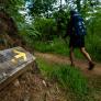 La Guardia Civil busca a una mujer de 67 años y a su nieta de 8 perdidas en una ruta en Asturias