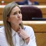 El 1 de octubre la tarifa regulada del gas iba a subir un 45%: el Gobierno la limita al 15% para todo el invierno