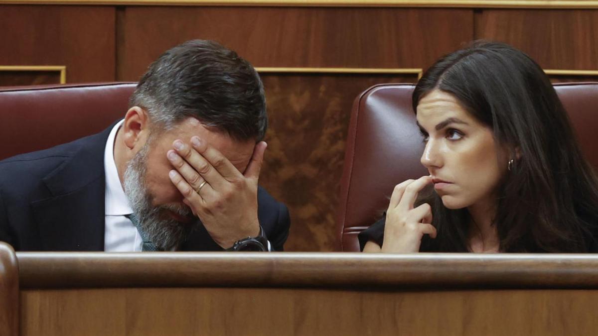 Vox se queda fuera de la Mesa del Congreso tras no prestarle apoyos el PP