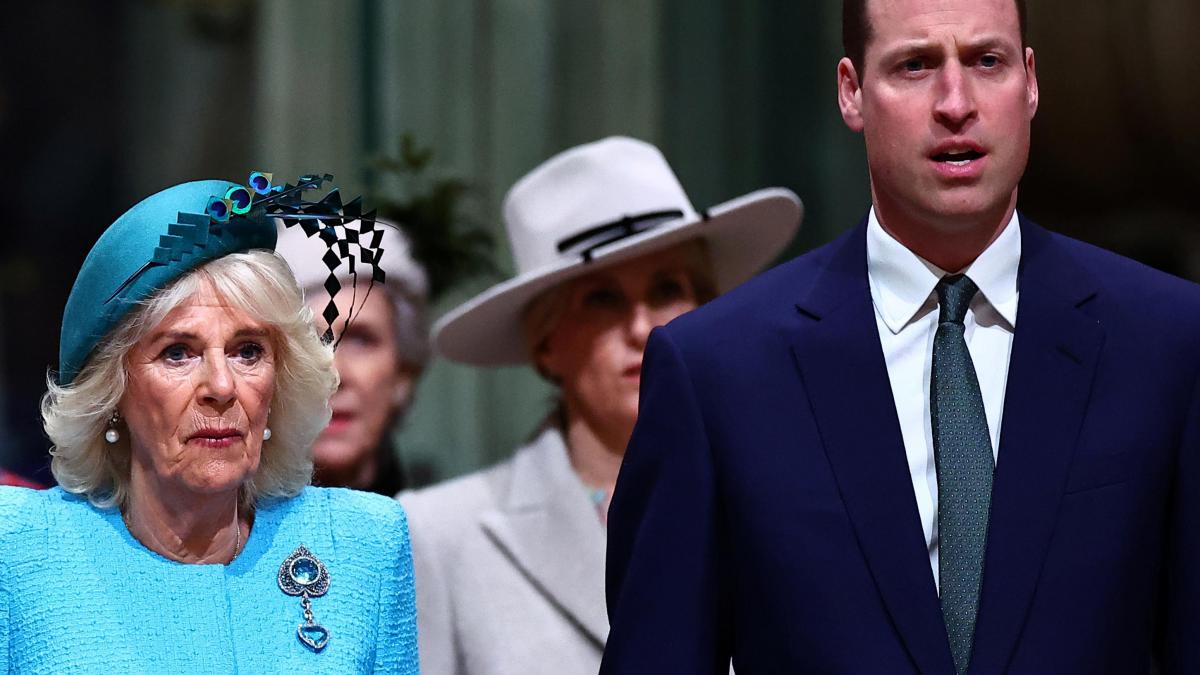 El nuevo 'annus horribilis' de la casa real británica: el papel de Camila y  Guillermo al frente de la monarquía