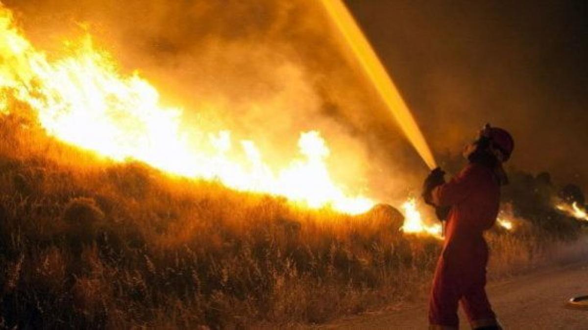 Bauzá espera que el incendio de Mallorca se controle 'en breve'