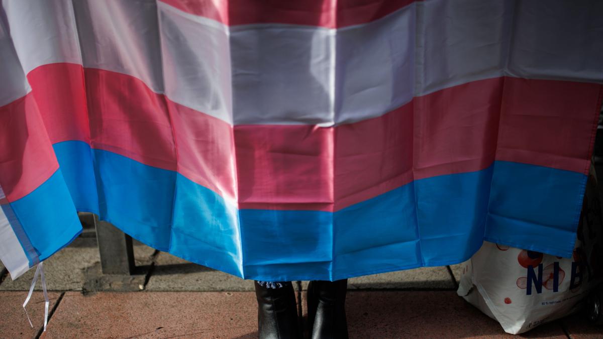 Las enmiendas del PSOE a la ley Trans: detransición en el juzgado y ...